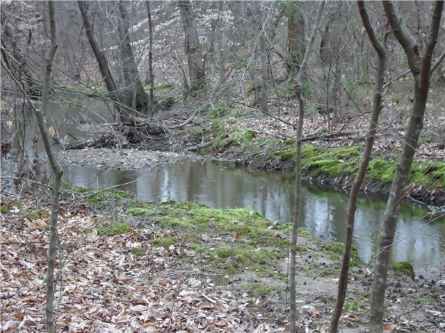 984 Frazier Road Beechgrove, TN 37018 - Photo 5 of 5 This is a view of the spring fed creek.