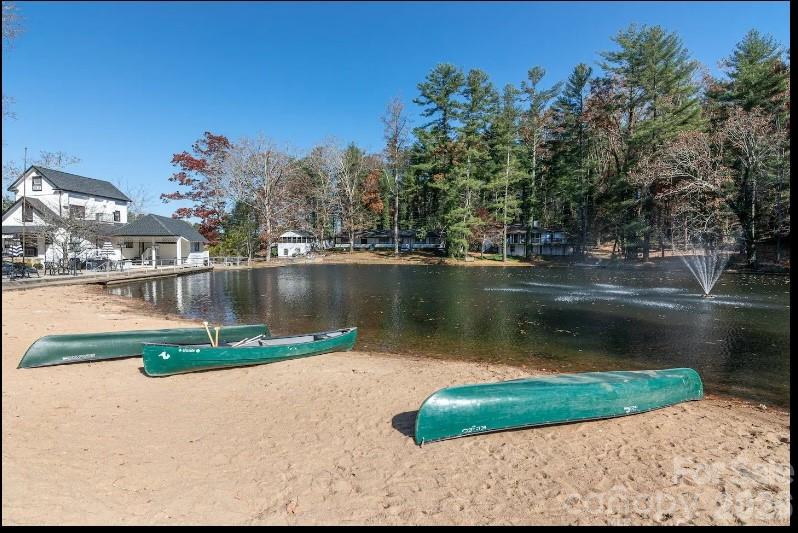 1150 West Blue Ridge Road, Unit 220 Flat Rock, NC 28731 - Photo 2 of 17