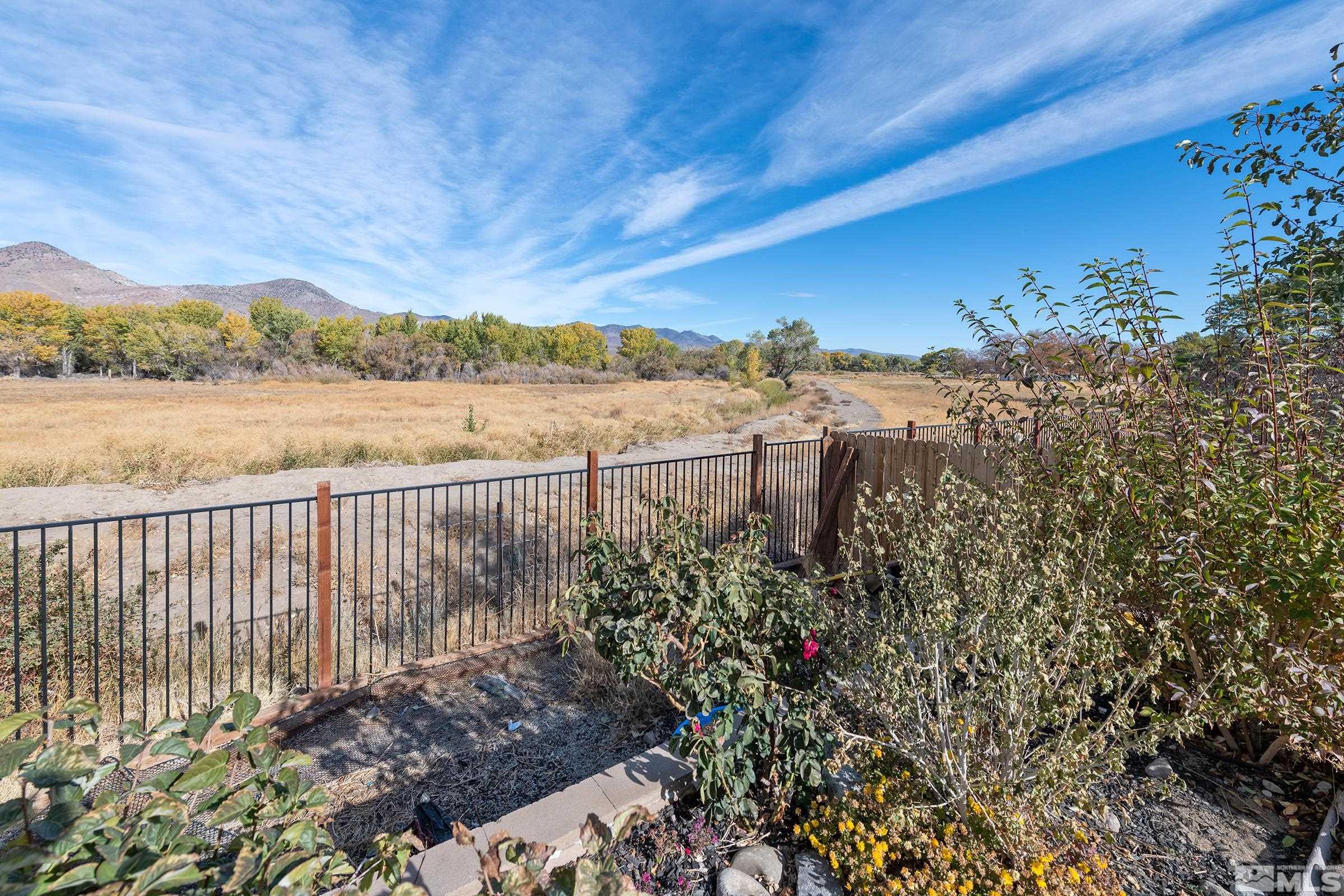 116 Carson River Drive Dayton, NV 89403 - Photo 27 of 30 Photo 28