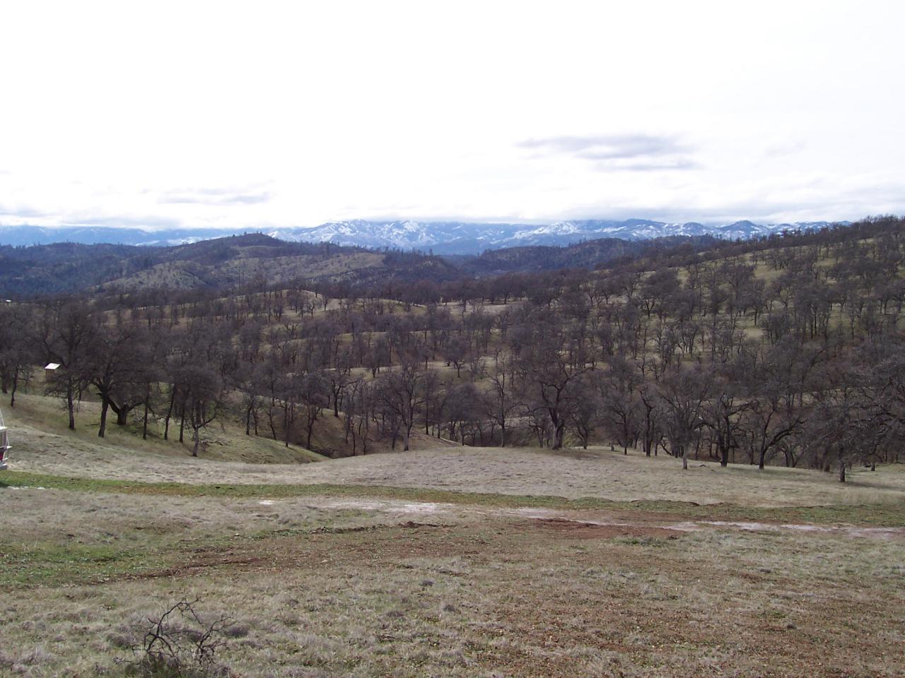 249 Fiddlers Road Igo, CA 96047 - Photo 12 of 19 a view of a yard with a mountain