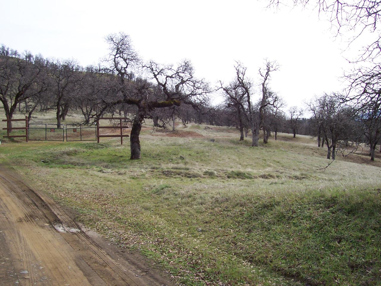 249 Fiddlers Road Igo, CA 96047 - Photo 13 of 19 a view of outdoor space with green space