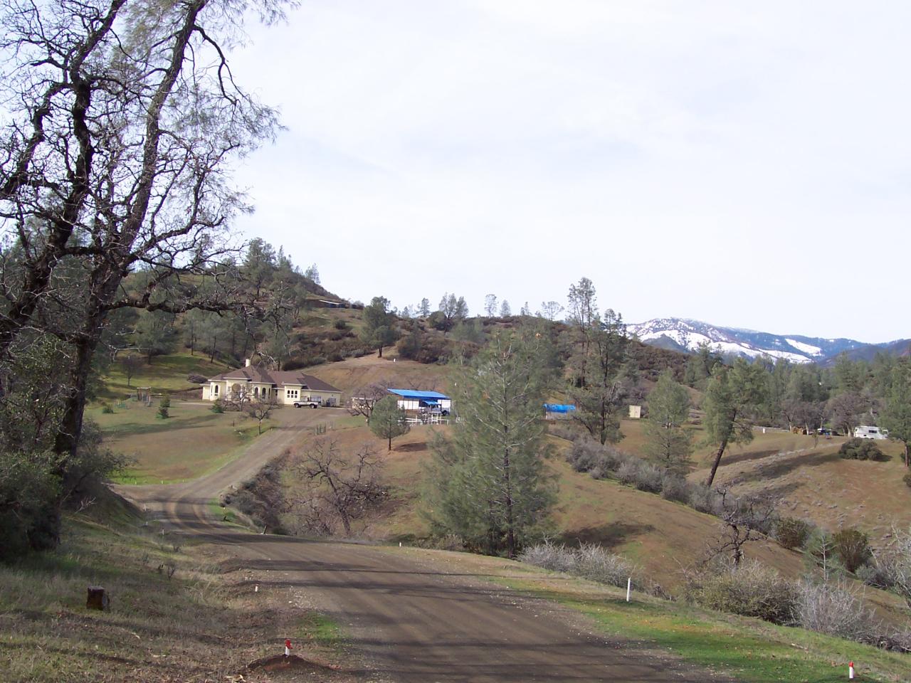 249 Fiddlers Road Igo, CA 96047 - Photo 15 of 19 a view of a dry yard with trees