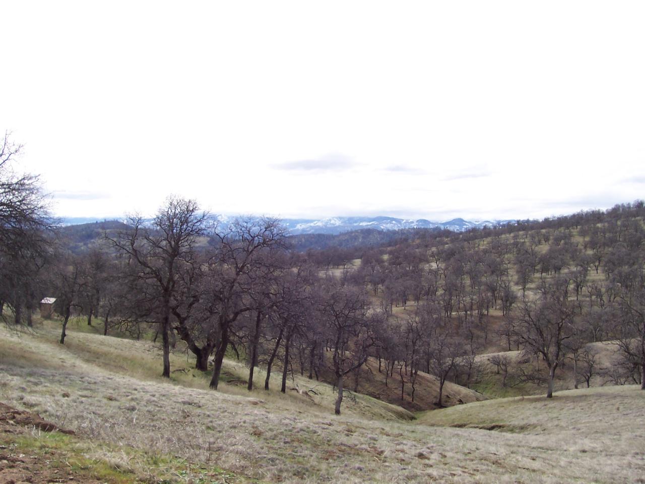 249 Fiddlers Road Igo, CA 96047 - Photo 16 of 19 a view of outdoor space with mountain view