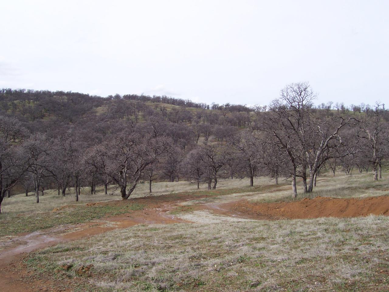 249 Fiddlers Road Igo, CA 96047 - Photo 19 of 19 a view of outdoor space with city view