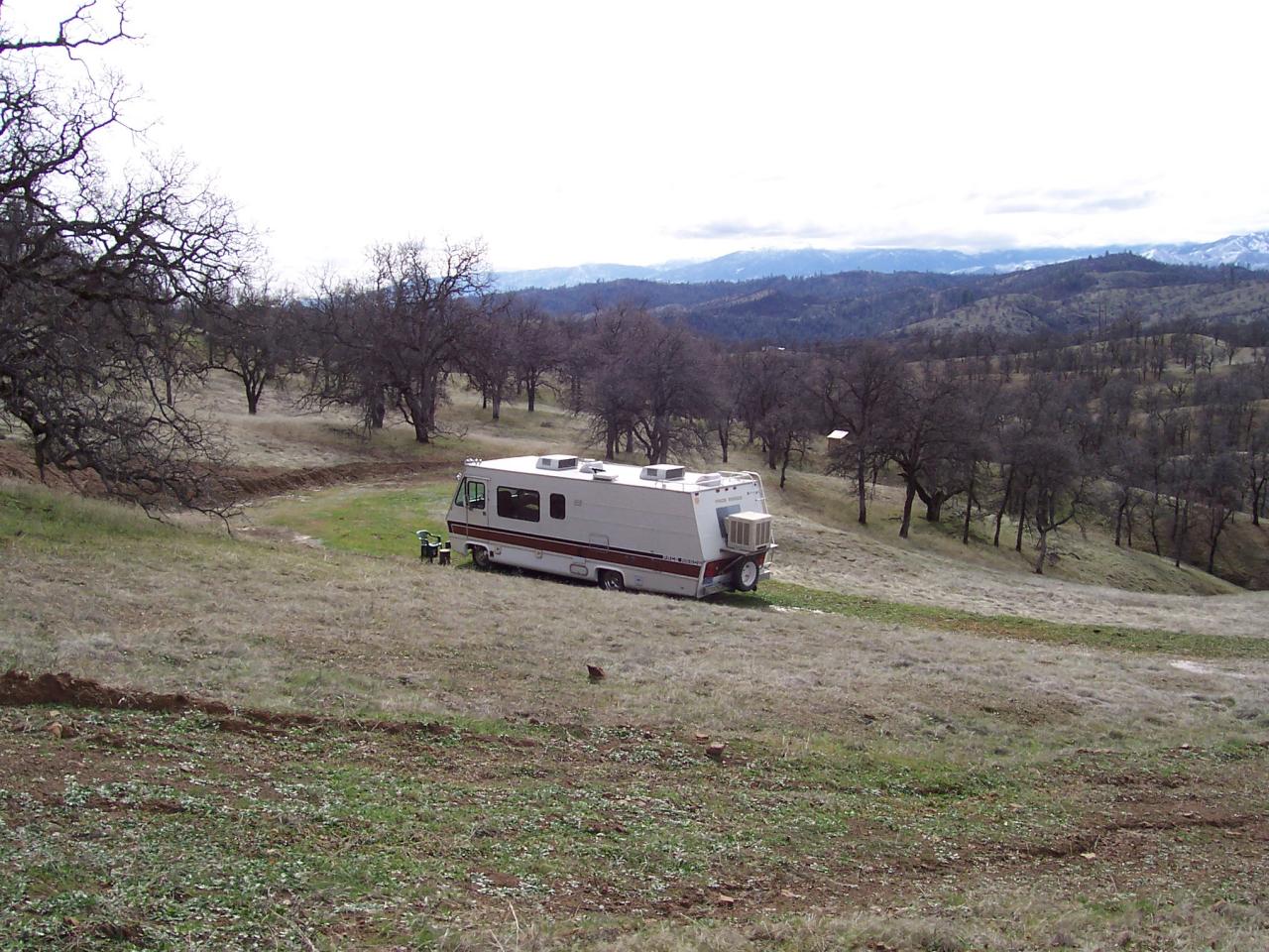 249 Fiddlers Road Igo, CA 96047 - Photo 3 of 19 a view of backyard with trees