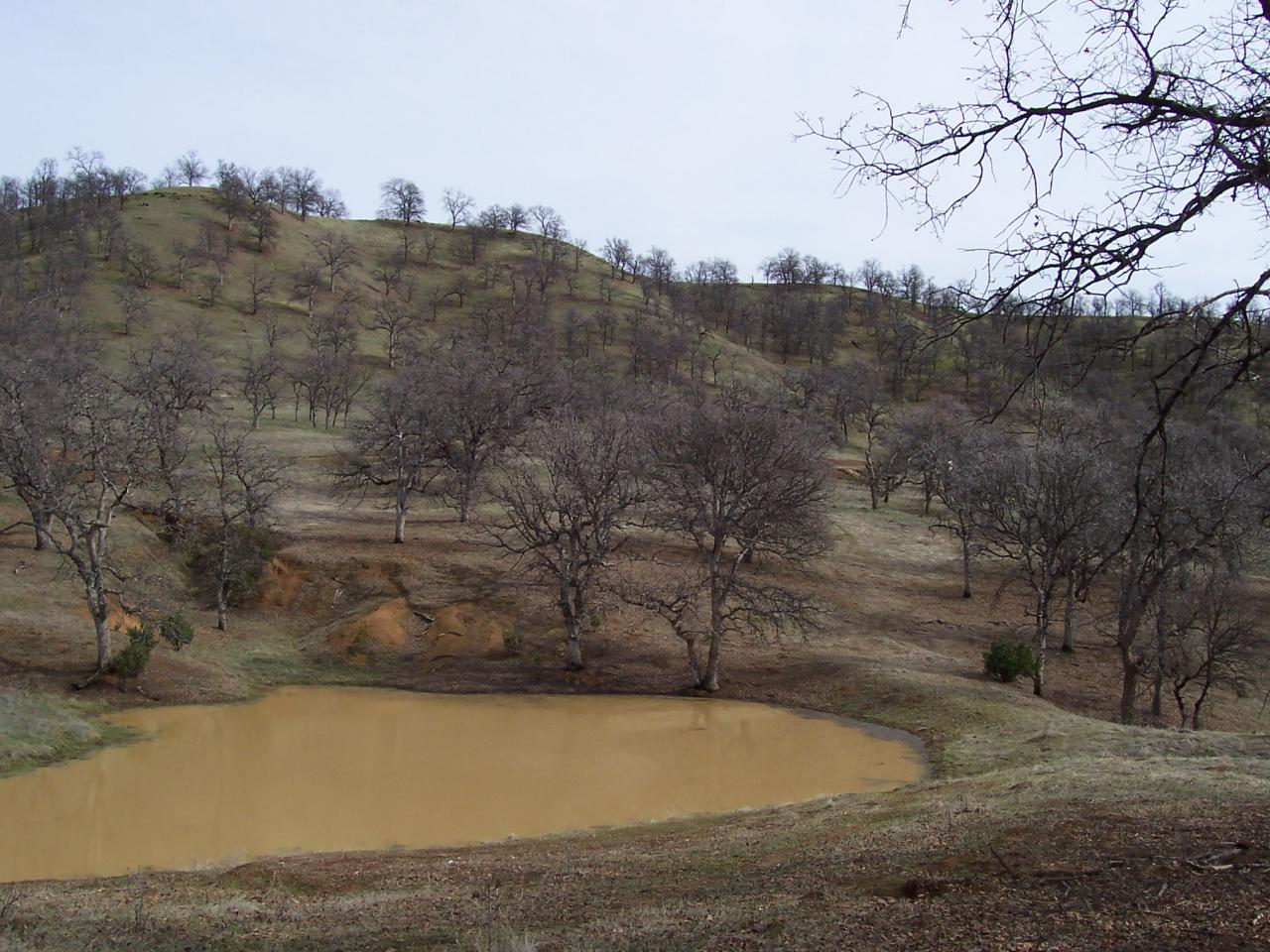 249 Fiddlers Road Igo, CA 96047 - Photo 10 of 19 a view of a yard