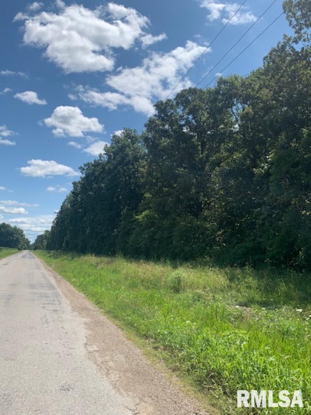 0 Odin Road Salem, IL 62881 - Photo 1 of 3
