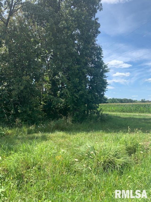 0 Odin Road Salem, IL 62881 - Photo 2 of 3