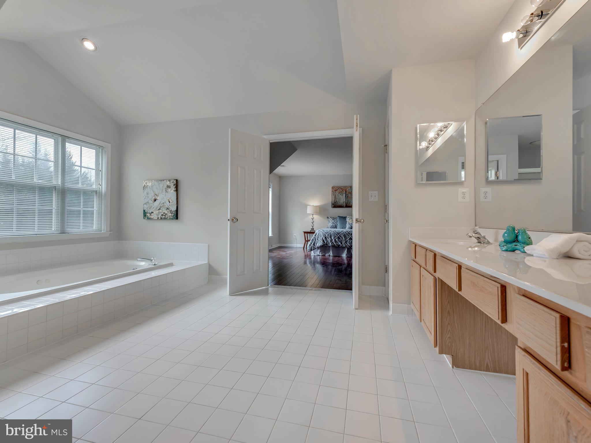 11004 Frederick Road Ellicott City, MD 21042 - Photo 14 of 30 Spacious Super Master Bath