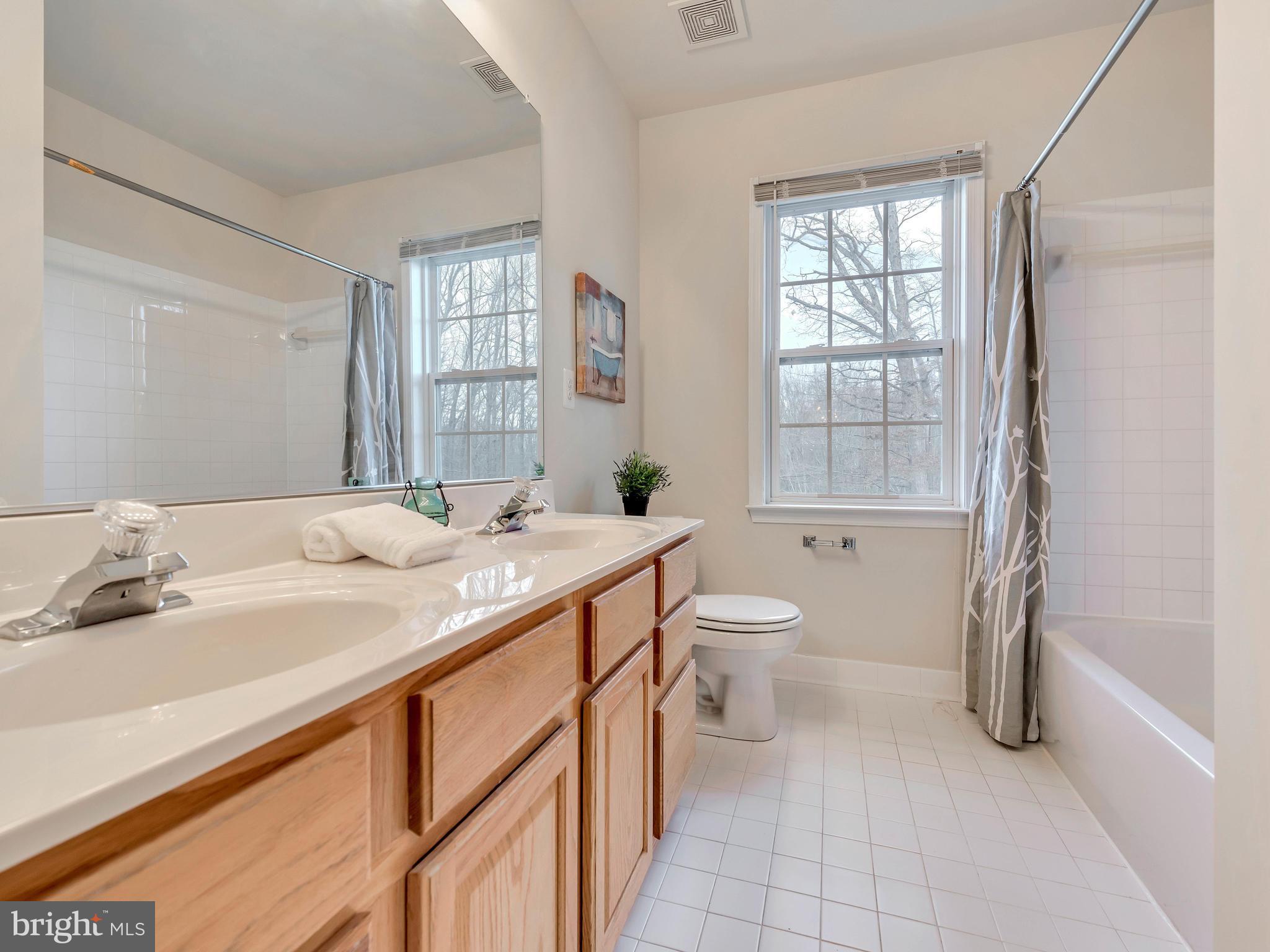 11004 Frederick Road Ellicott City, MD 21042 - Photo 20 of 30 Hall Bath with nice woods view