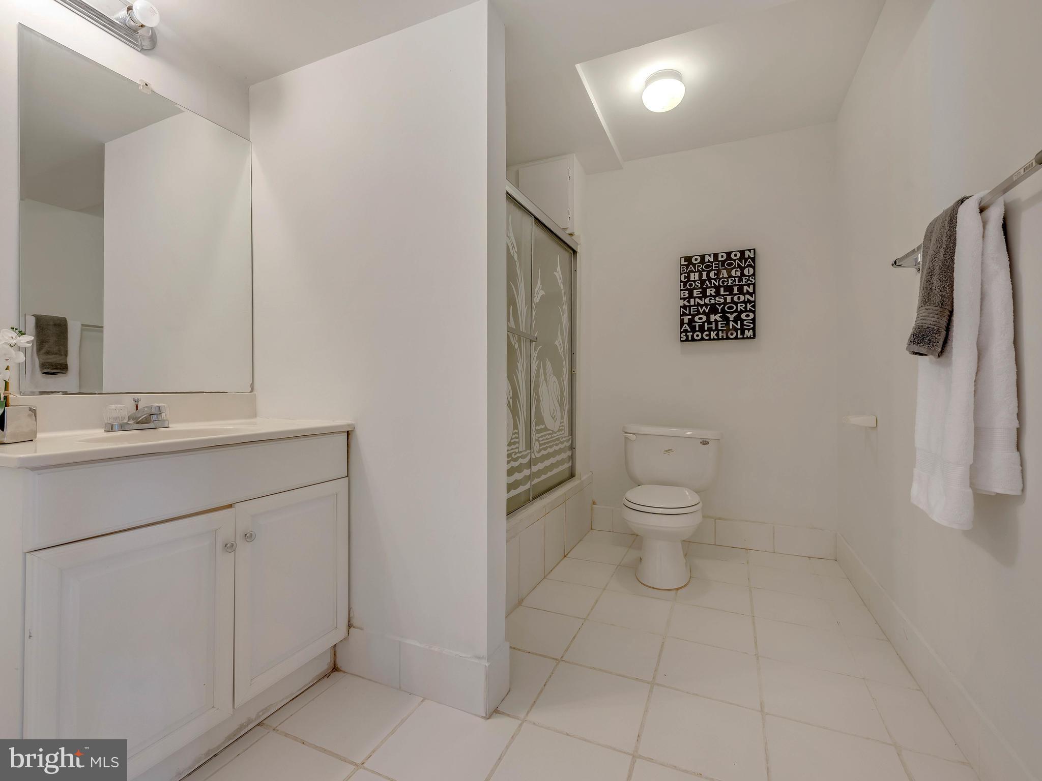 11004 Frederick Road Ellicott City, MD 21042 - Photo 24 of 30 Bath 3 in Lower Level