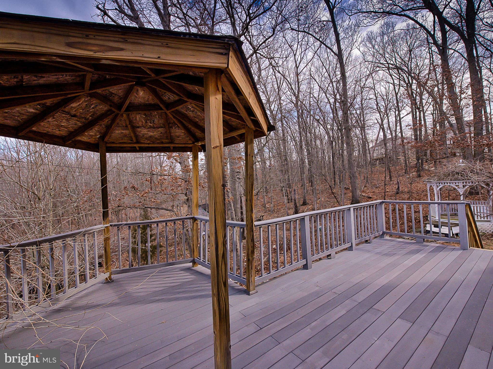 11004 Frederick Road Ellicott City, MD 21042 - Photo 26 of 30 Exterior (Rear) deck