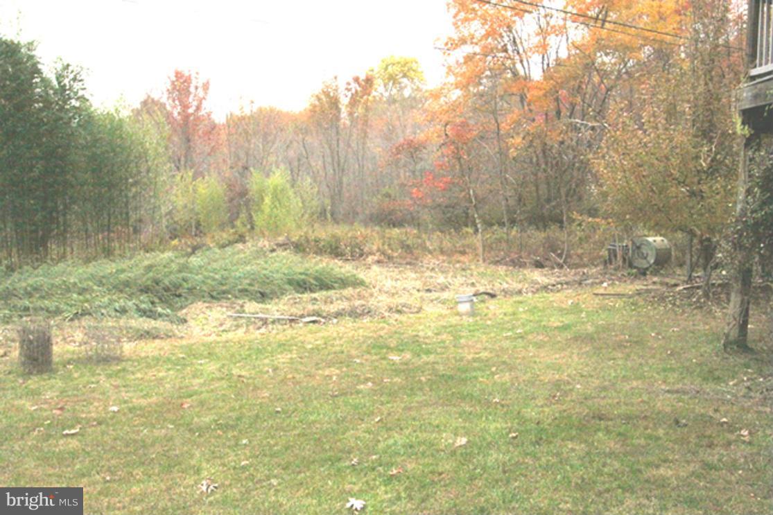 11004 Frederick Road Ellicott City, MD 21042 - Photo 30 of 30 Beautiful back yard view