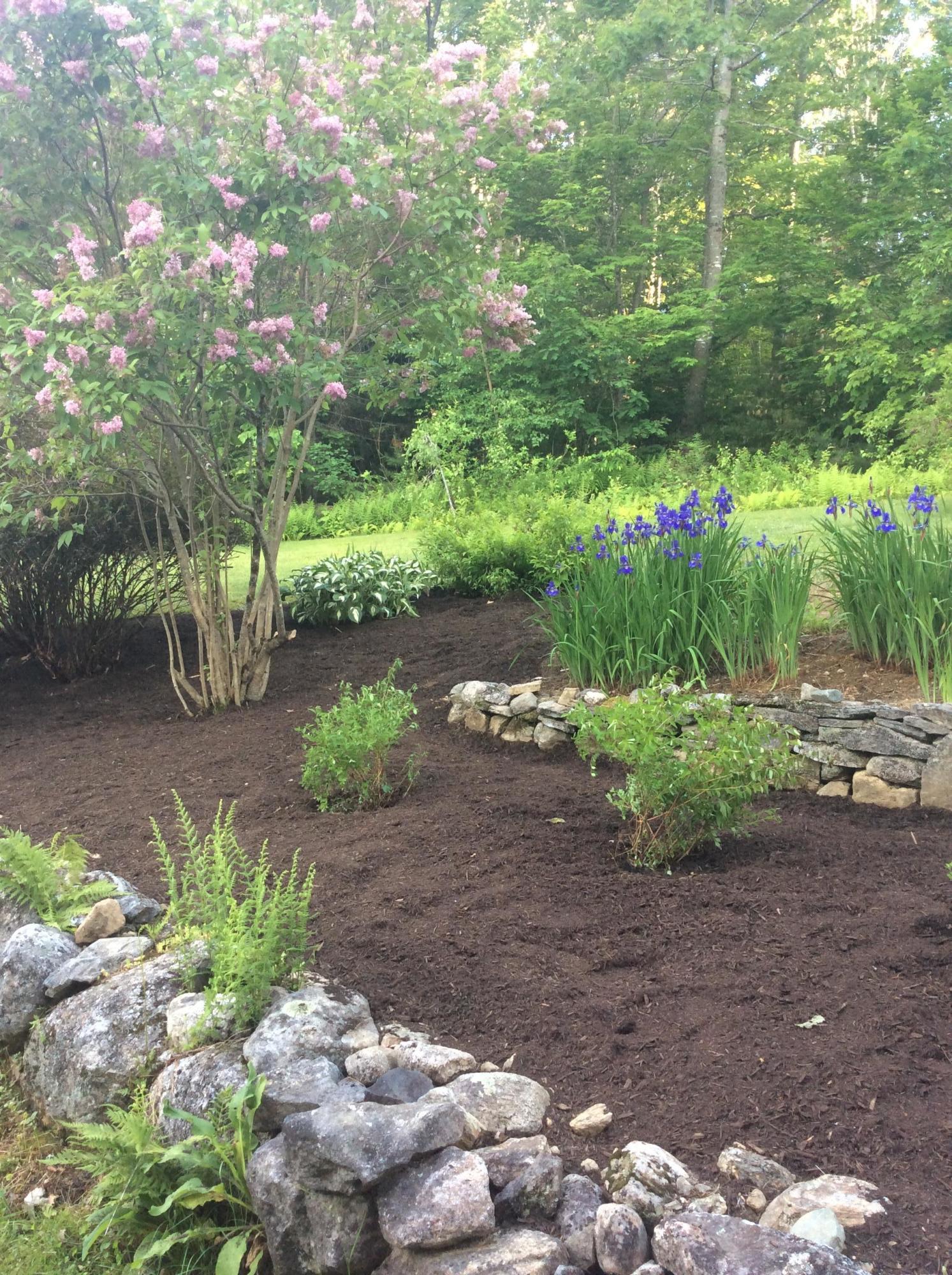 255 Dunn Road Norway, ME 04268 - Photo 36 of 46 Gardens