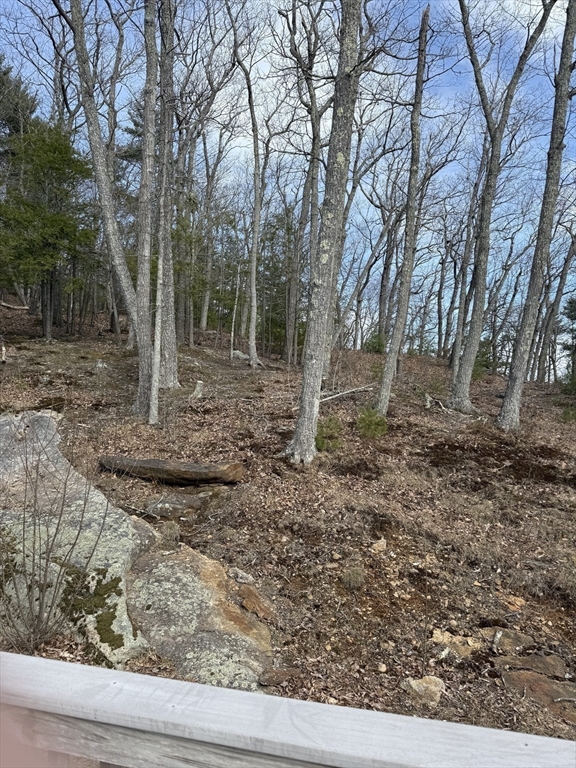 335 Mashapaug Road Holland, MA 01521 - Photo 5 of 18