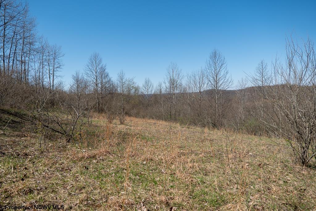Lot 1 Fairfax Mine Road Reedsville, WV 26547 - Photo 3 of 49 Gallery Image 3