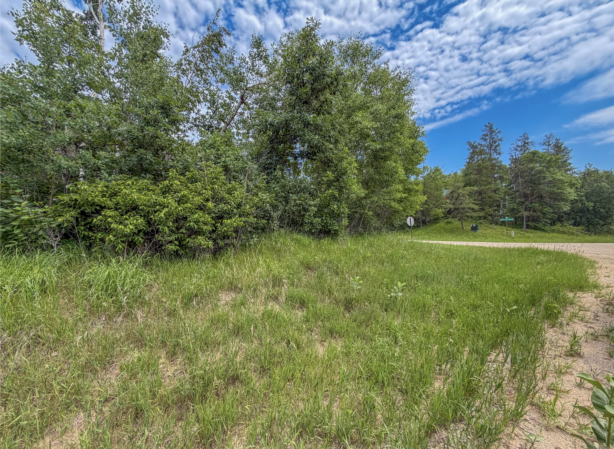 Tbd Grant Hills Road Southwest Bemidji, MN 56601 - Photo 5 of 9