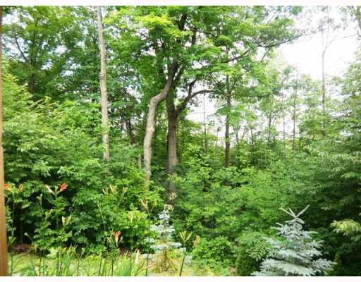 1491 Scio Ridge Road Ann Arbor, MI 48103 - Photo 9 of 10 Photo 9