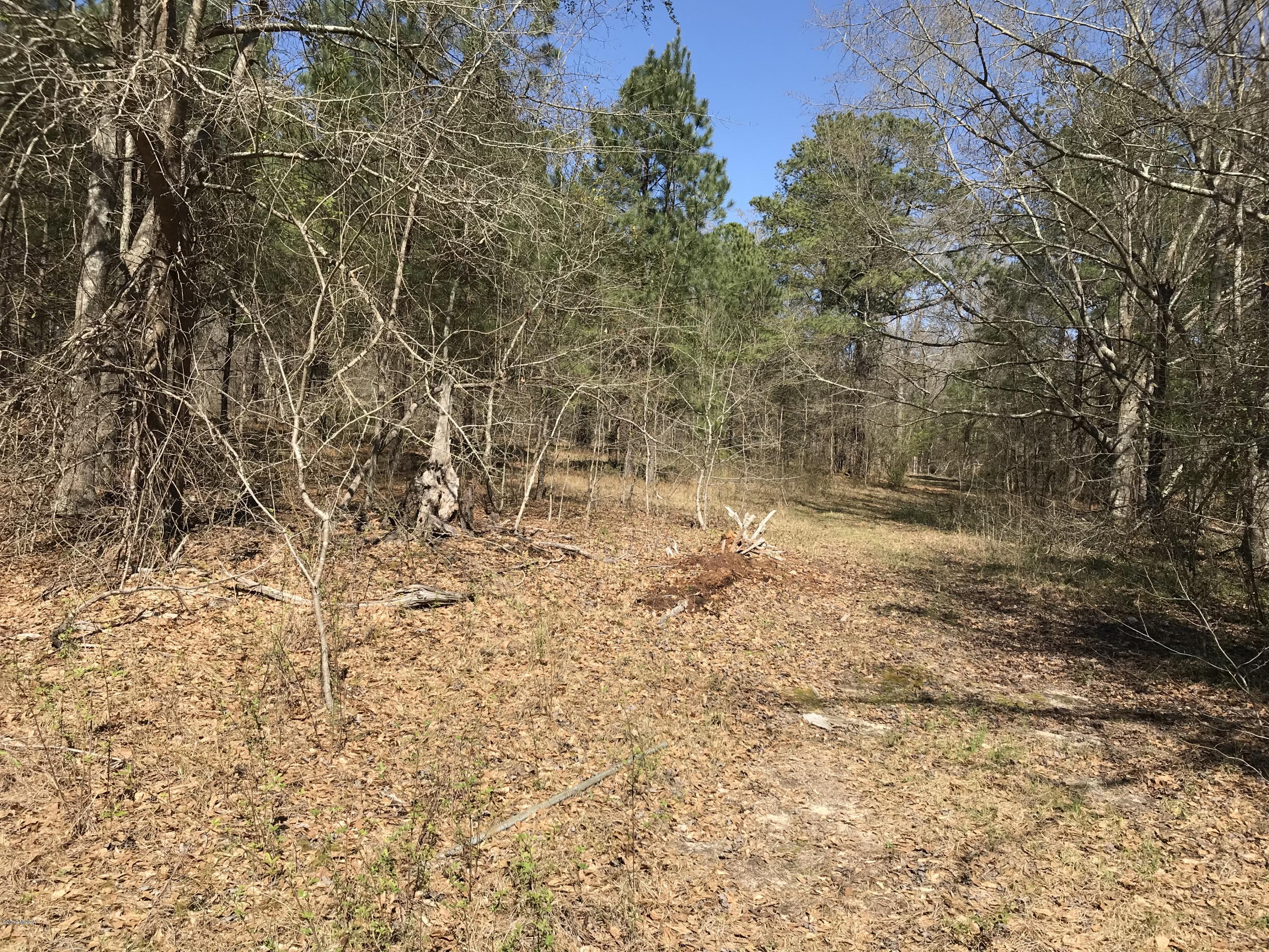 224 Chambers Road Macon, GA 31217 - Photo 11 of 16 a view of empty room with trees