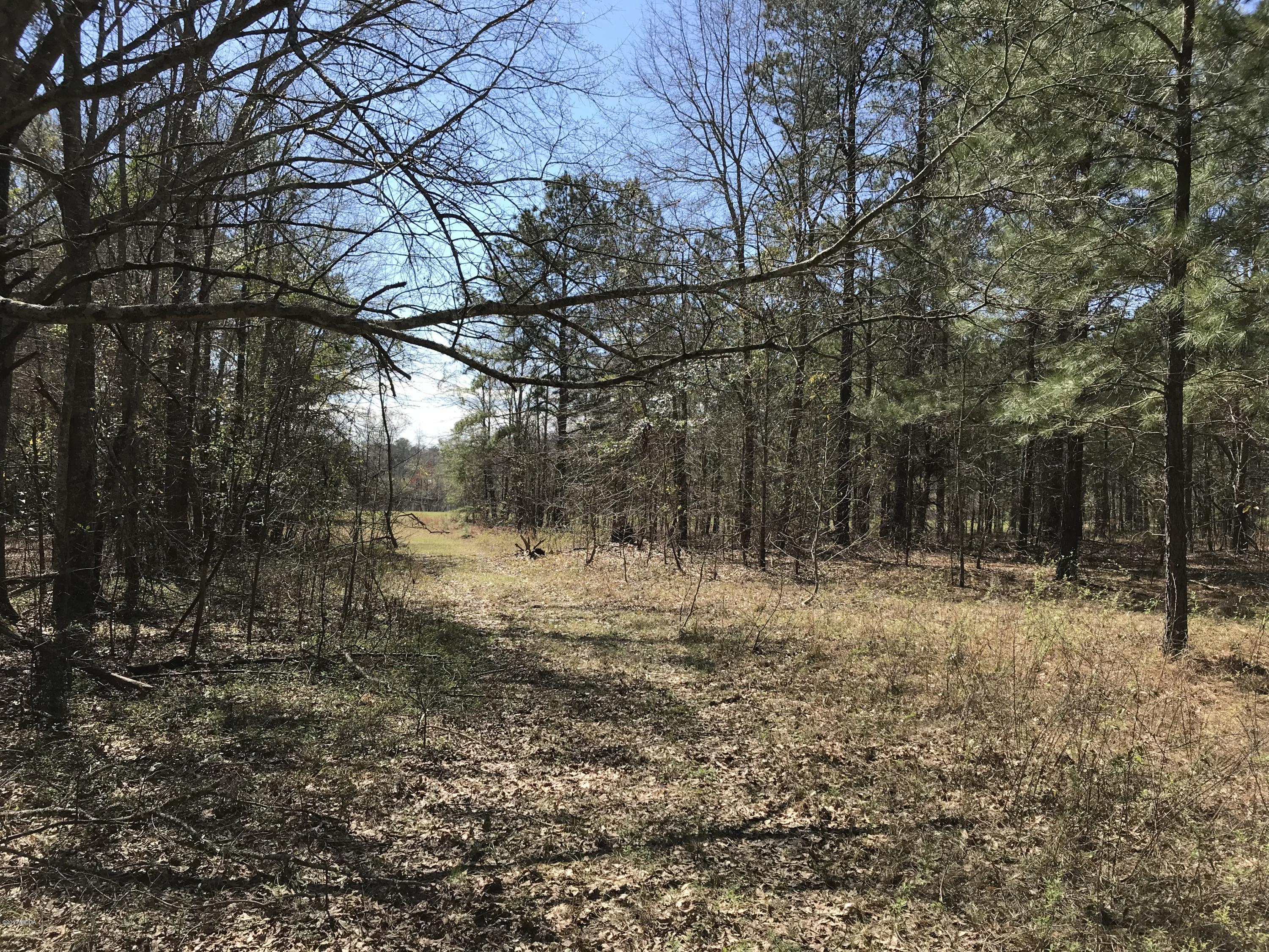 224 Chambers Road Macon, GA 31217 - Photo 12 of 16 a fire hydrant in the middle of a field