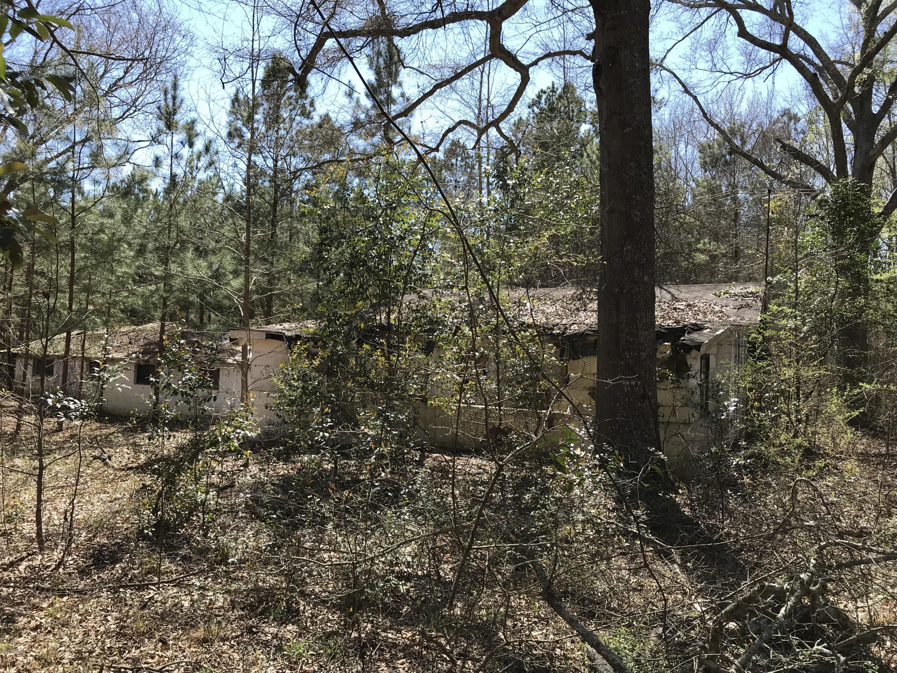 224 Chambers Road Macon, GA 31217 - Photo 14 of 16 a view of a yard with plants and large trees