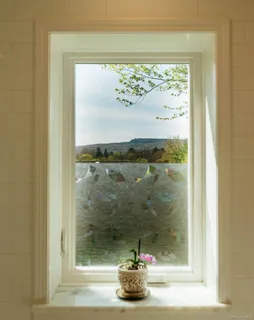 a glass window with a view of garden