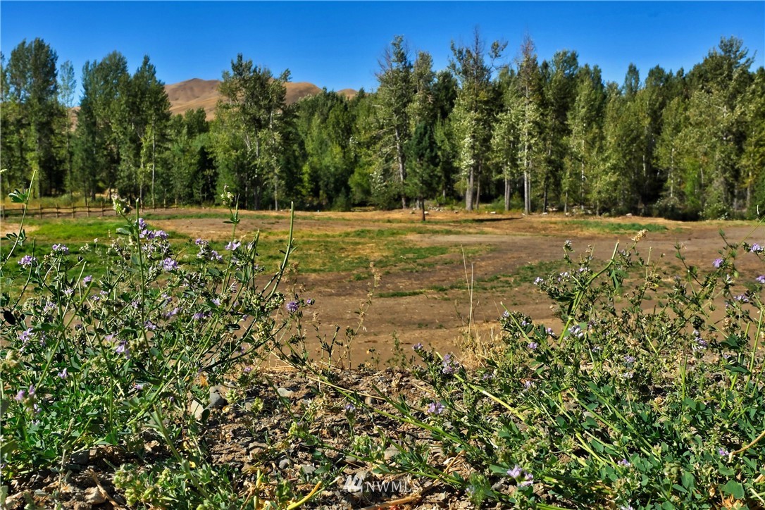 128B Poorman Creek Road Twisp, WA 98856 - Photo 15 of 35 Gallery Image 15