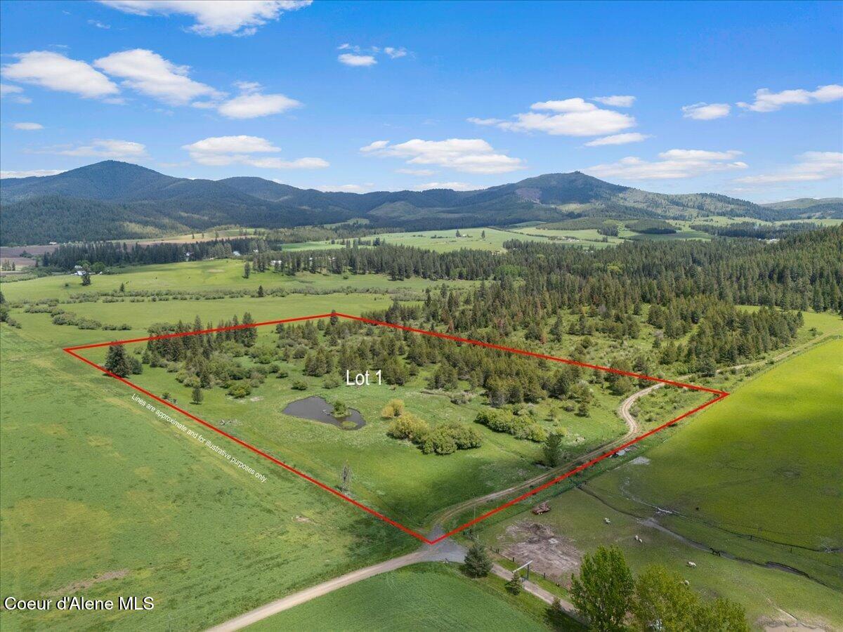 572 Foote Road Desmet, ID 83824 - Photo 4 of 38 Parcel 1
