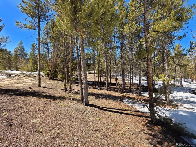 $100,000 | 20 & 29 Twin Lakes, Leadville, CO 80461