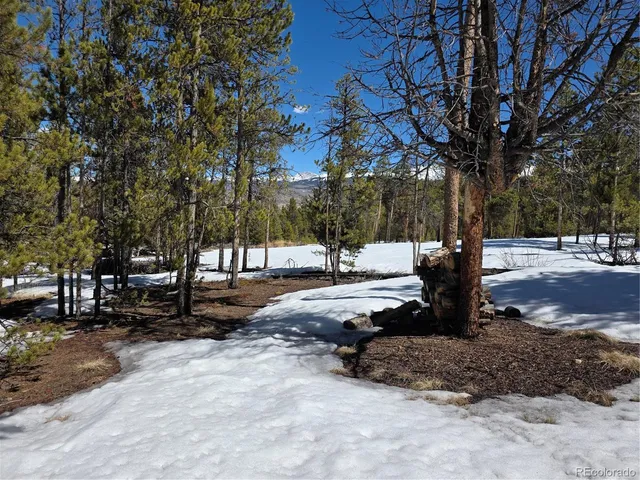 $100,000 | 20 & 29 Twin Lakes, Leadville, CO 80461