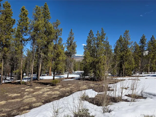 $100,000 | 20 & 29 Twin Lakes, Leadville, CO 80461