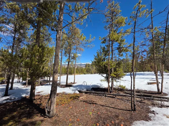 $100,000 | 20 & 29 Twin Lakes, Leadville, CO 80461