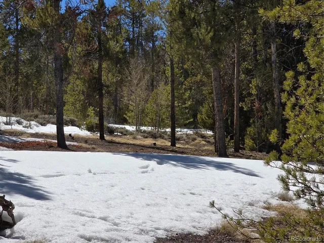 $100,000 | 20 & 29 Twin Lakes, Leadville, CO 80461