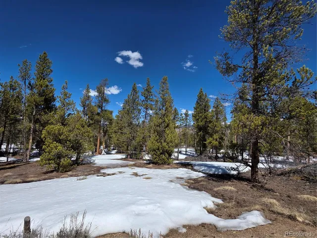 $100,000 | 20 & 29 Twin Lakes, Leadville, CO 80461