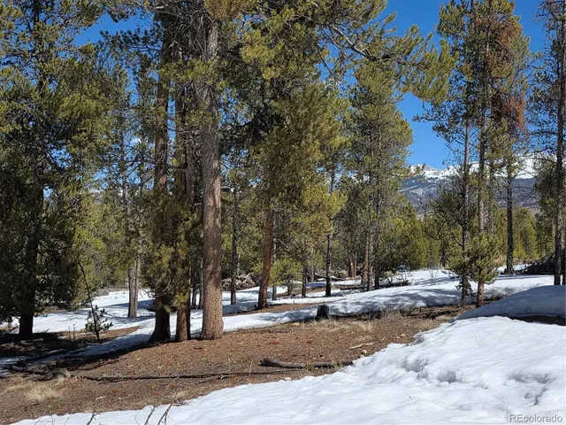 $100,000 | 20 & 29 Twin Lakes, Leadville, CO 80461