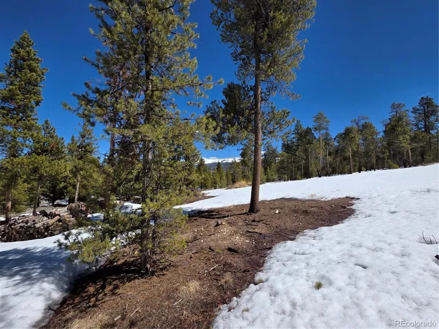 $100,000 | 20 & 29 Twin Lakes, Leadville, CO 80461