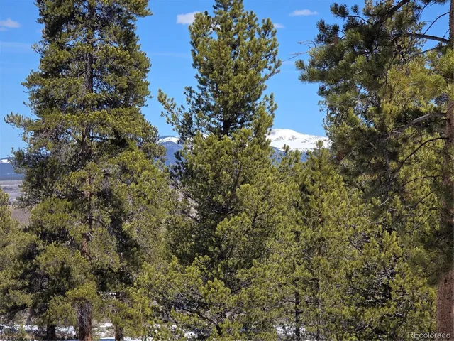 $100,000 | 20 & 29 Twin Lakes, Leadville, CO 80461