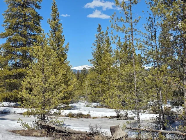 $100,000 | 20 & 29 Twin Lakes, Leadville, CO 80461