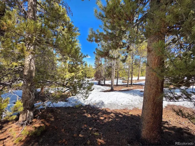 $100,000 | 20 & 29 Twin Lakes, Leadville, CO 80461
