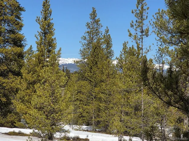 $100,000 | 20 & 29 Twin Lakes, Leadville, CO 80461