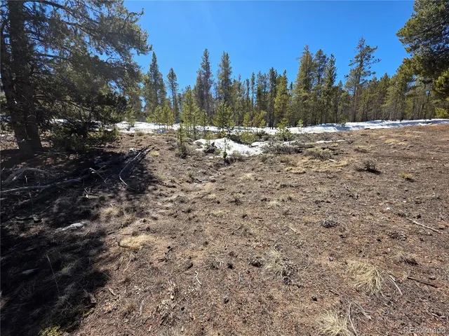 $100,000 | 20 & 29 Twin Lakes, Leadville, CO 80461