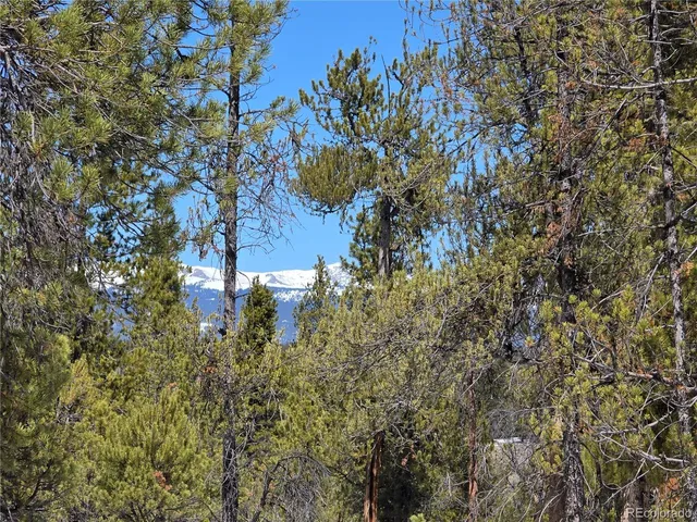 $100,000 | 20 & 29 Twin Lakes, Leadville, CO 80461