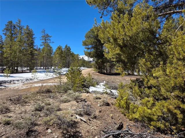 $100,000 | 20 & 29 Twin Lakes, Leadville, CO 80461