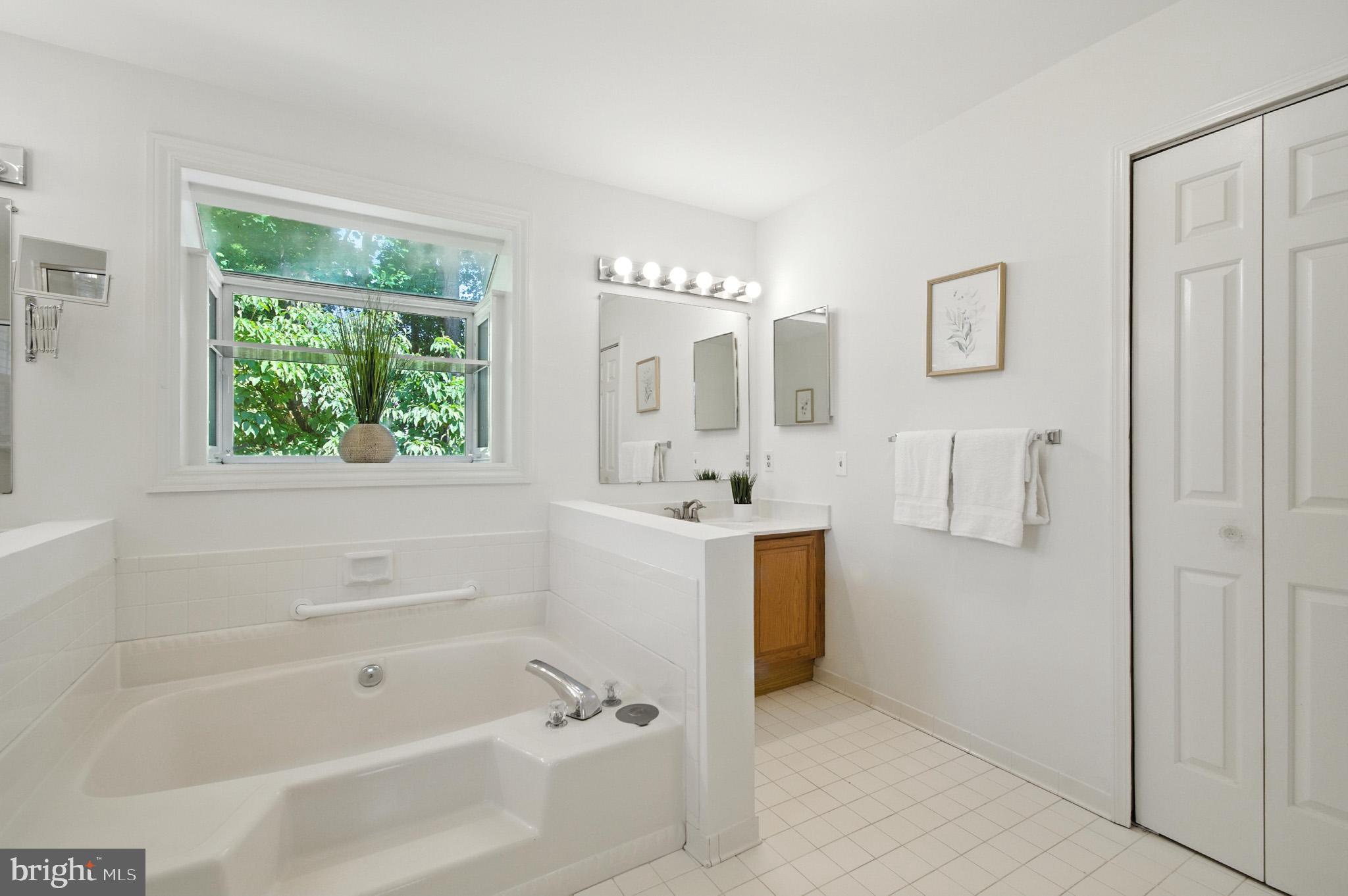 6030 Watch Chain Way Columbia, MD 21044 - Photo 64 of 90 a bathroom with a tub sink and mirror