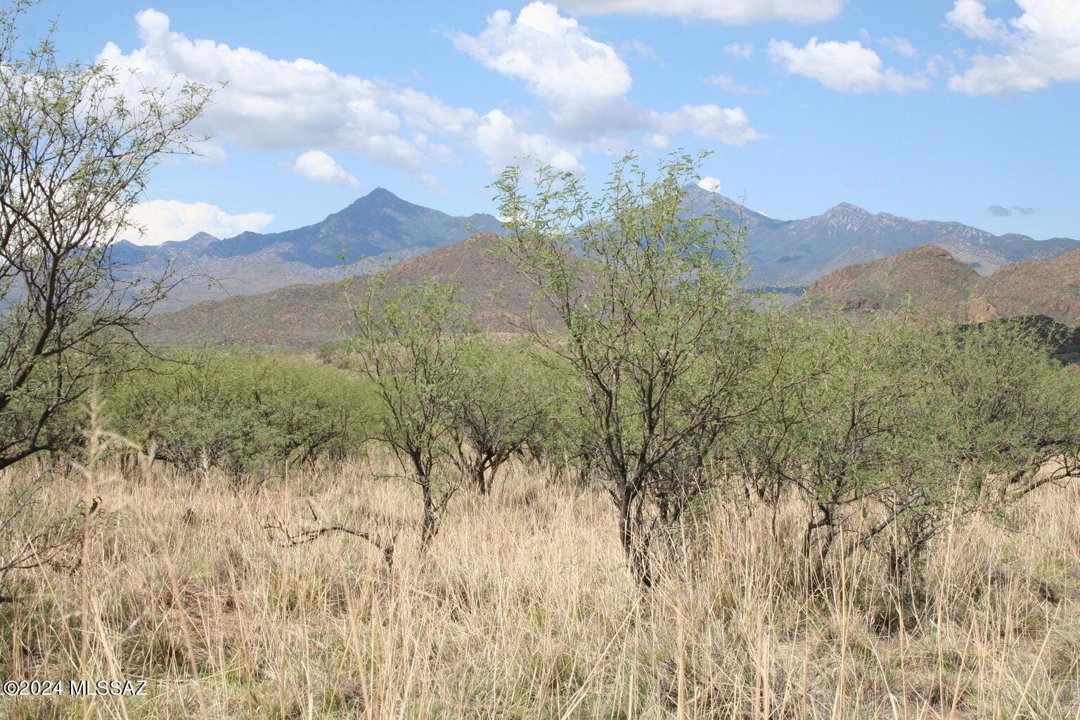 80 Morning Star Drive Rio Rico, AZ 85648 - Photo 10 of 30