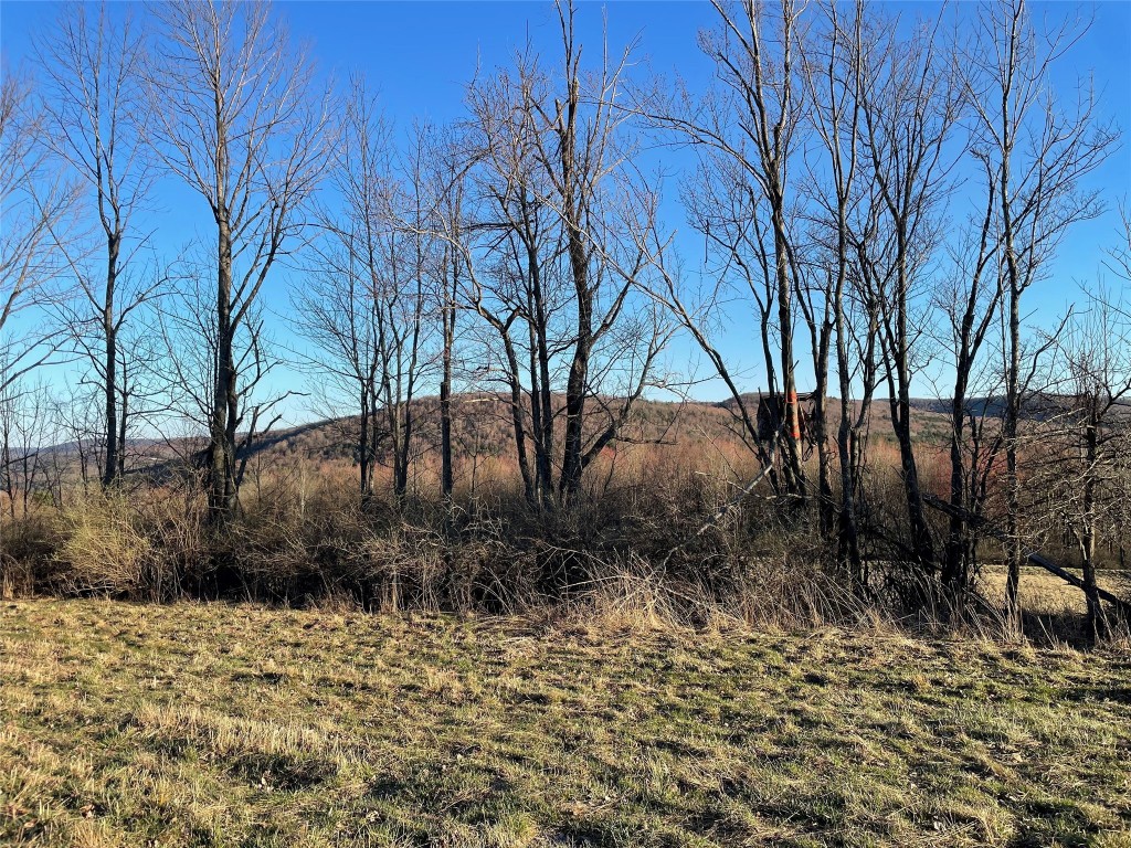 4700 Murphy Road Conklin, NY 13903 - Photo 11 of 13 Gallery Image 11