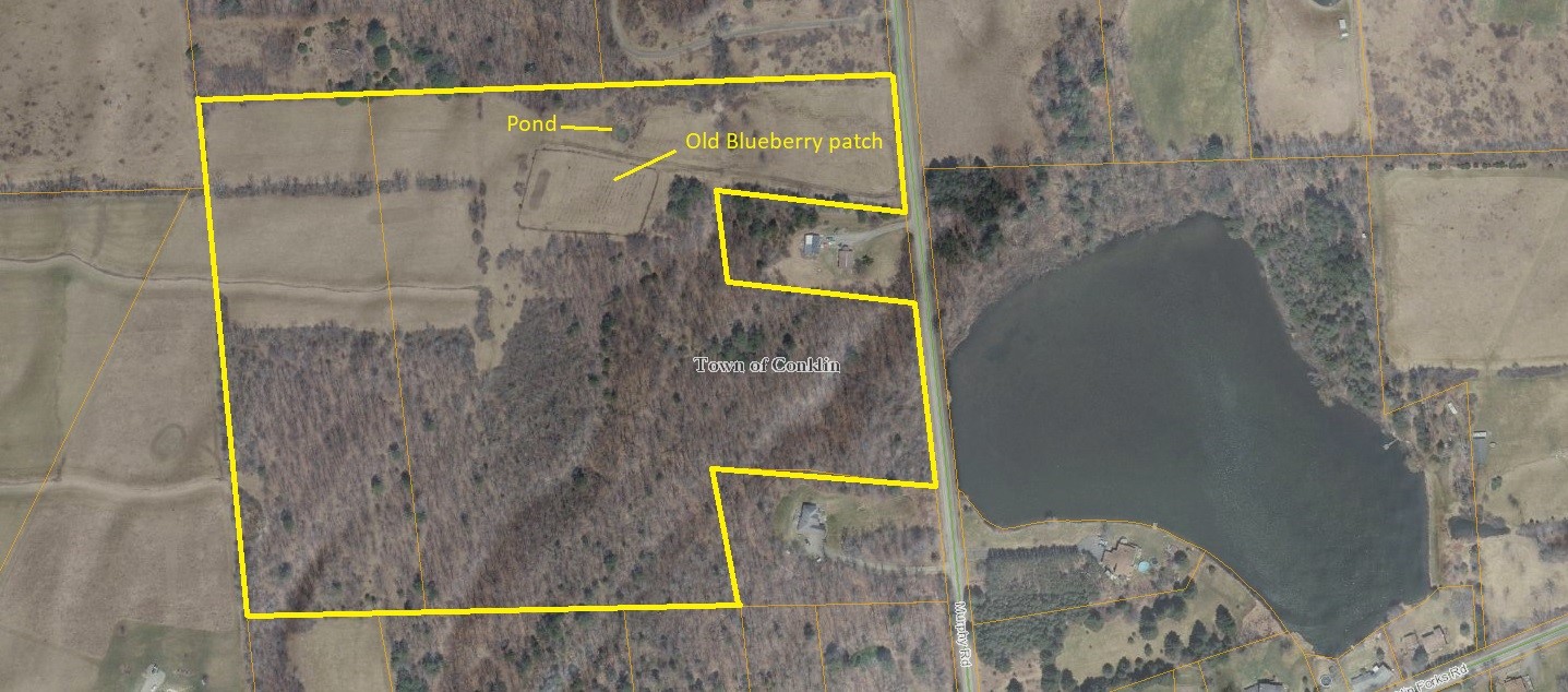 4700 Murphy Road Conklin, NY 13903 - Photo 13 of 13 Gallery Image 13