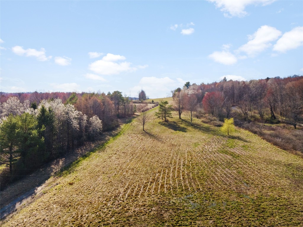 4700 Murphy Road Conklin, NY 13903 - Photo 2 of 13 Gallery Image 2