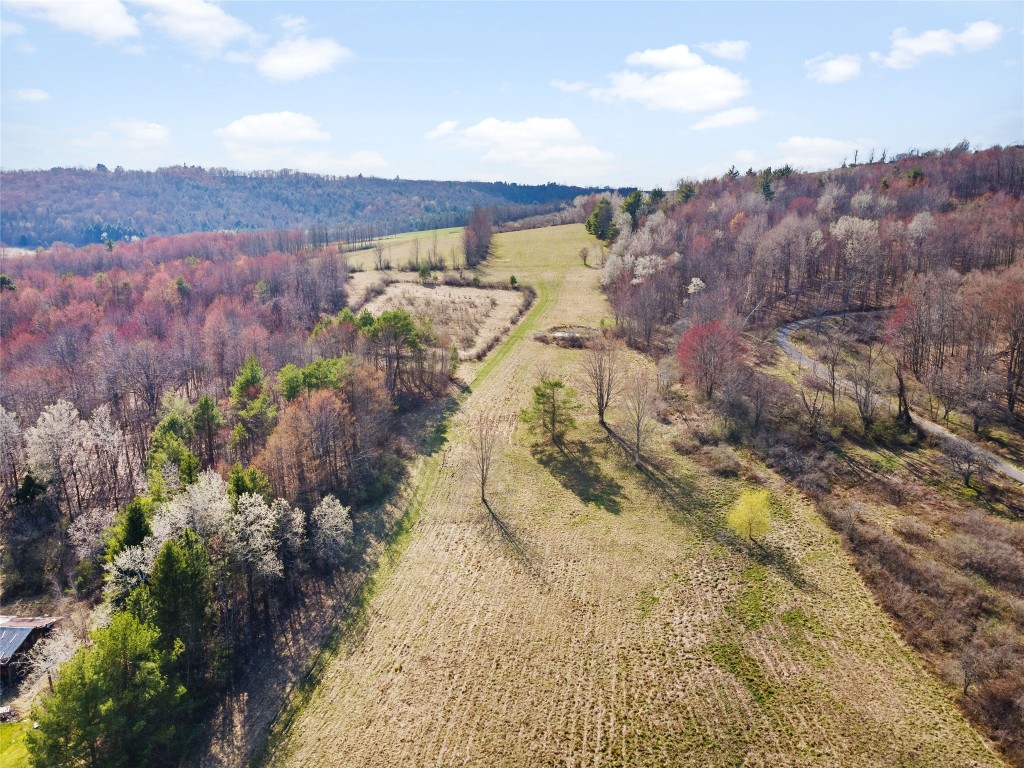 4700 Murphy Road Conklin, NY 13903 - Photo 4 of 13 Gallery Image 4