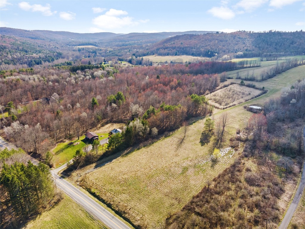 4700 Murphy Road Conklin, NY 13903 - Photo 5 of 13 Gallery Image 5